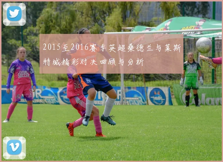 2015至2016赛季英超桑德兰与莱斯特城精彩对决回顾与分析