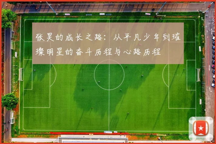 张昊的成长之路：从平凡少年到璀璨明星的奋斗历程与心路历程