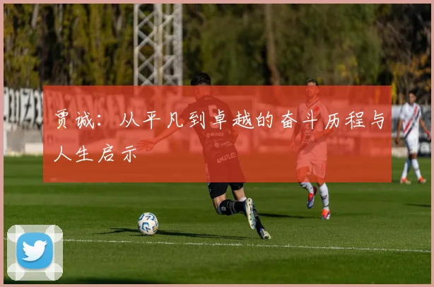 贾诚：从平凡到卓越的奋斗历程与人生启示