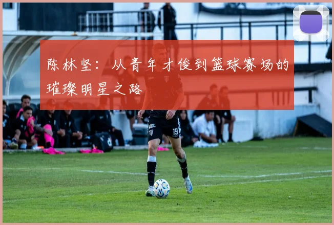 陈林坚：从青年才俊到篮球赛场的璀璨明星之路