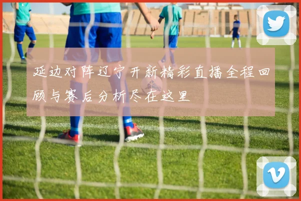 延边对阵辽宁开新精彩直播全程回顾与赛后分析尽在这里