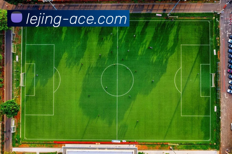 乐竞体育APP 封面图